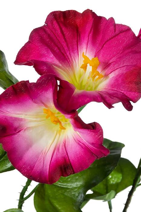 31" Silk Morning Glory Spray Beauty