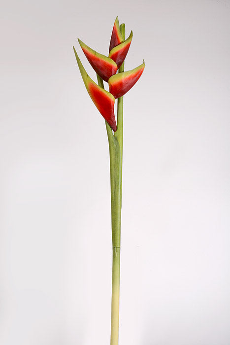 34" Artificial Hawaiian Heliconia Spray Red