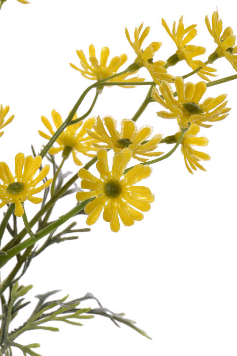 26.5" Artificial Marguerite Daisy Spray Yellow