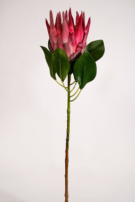 28" Artificial King Protea Spray Hot Pink