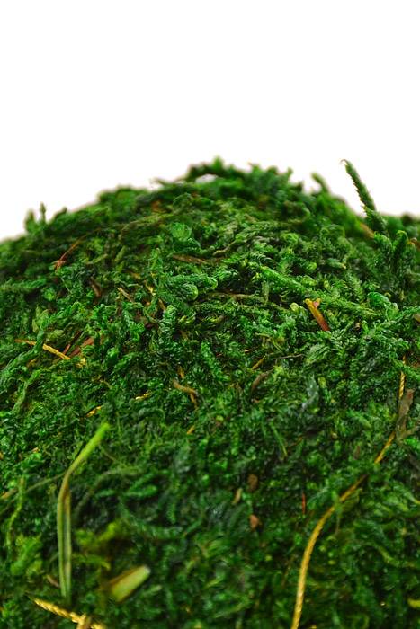 4" Moss Ball Green