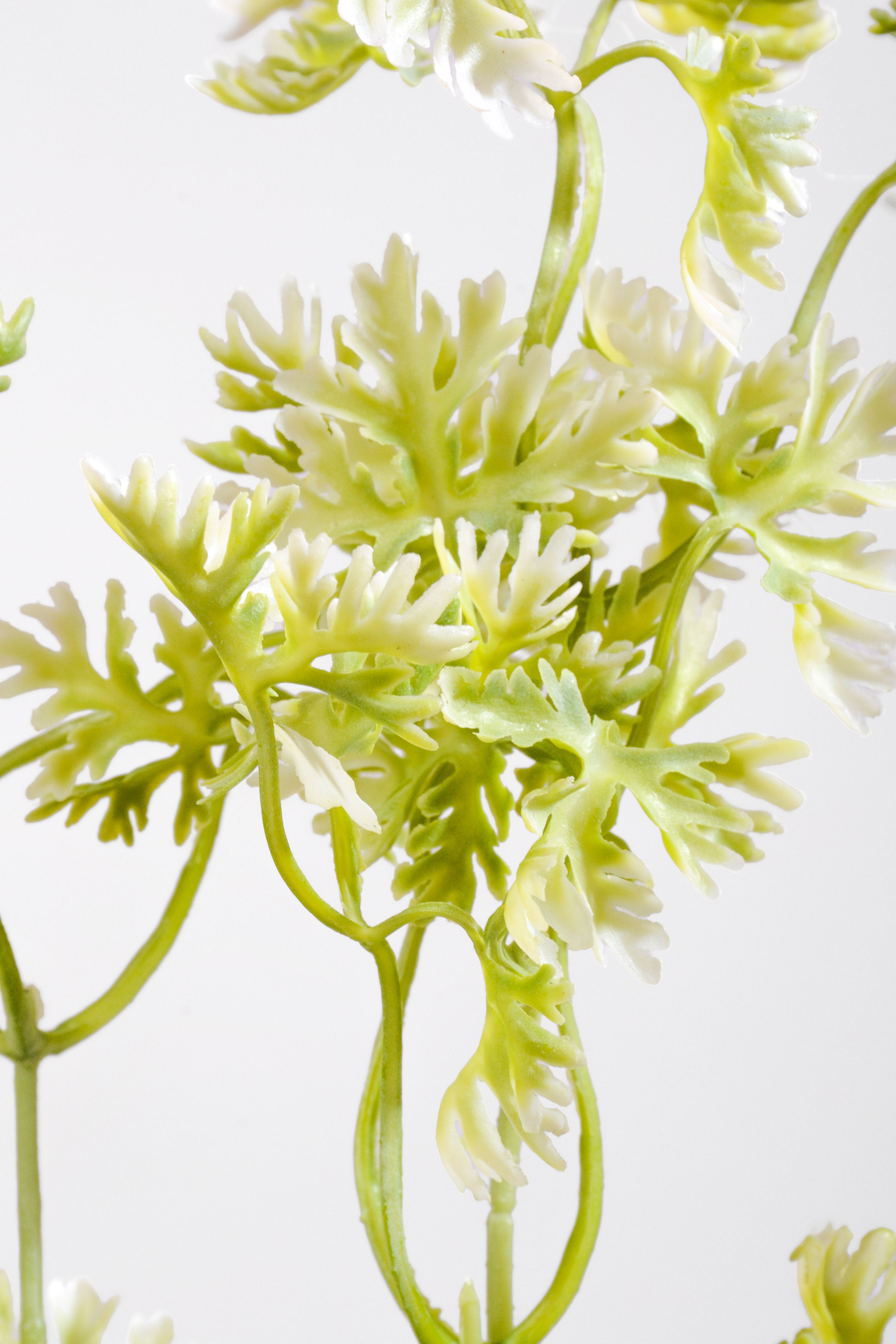 19.5" Artificial French Parsley Bush Green/White