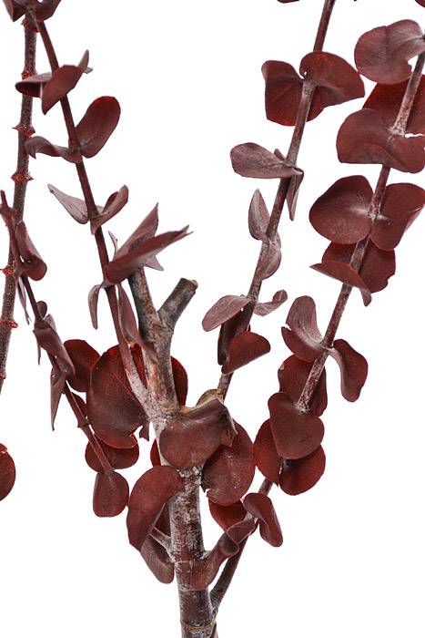 Eucalyptus Baby-Washed Red