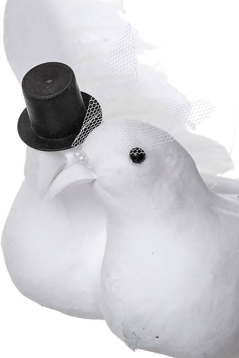 12" Feather Wedding Dove-couple White