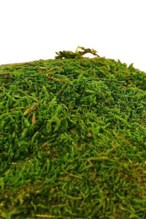 10" Moss Ball Green