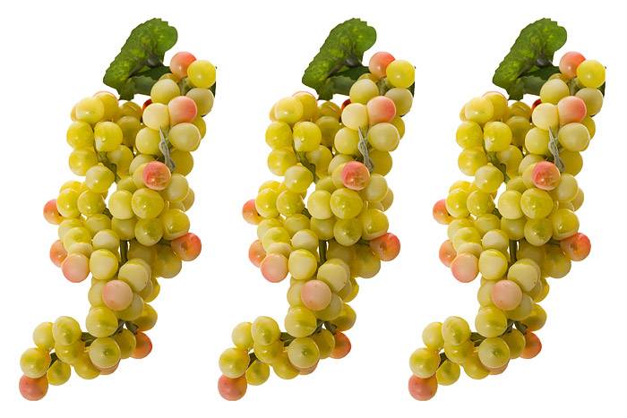 6" Mini Round Grape Cluster Green Pkg/3