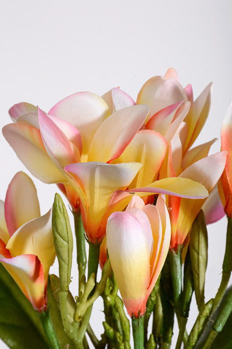22" Artificial Plumeria Spray Pink/Yellow