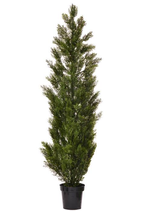 72" Cedar Topiary In Pot Green