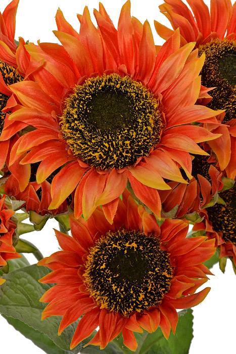 21" Silk Sunflower Bush Orange
