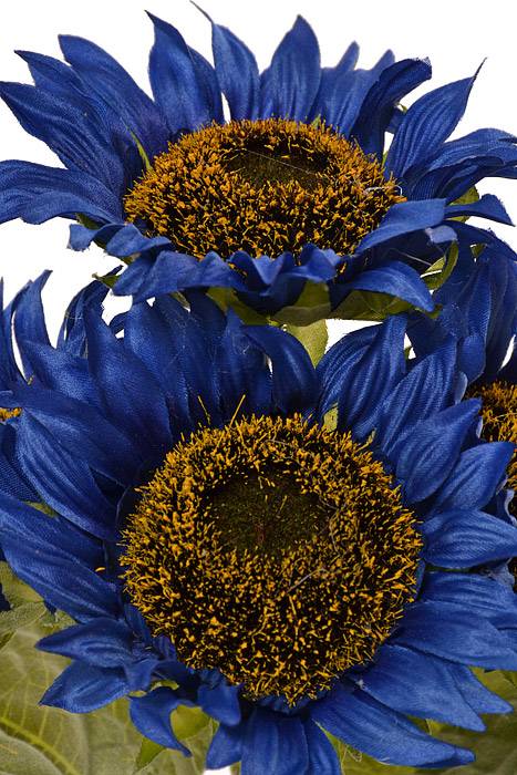 11" Silk Sunflower Bush Blue x 4