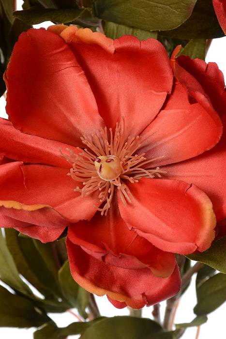 21" Silk Magnolia Bush Orange