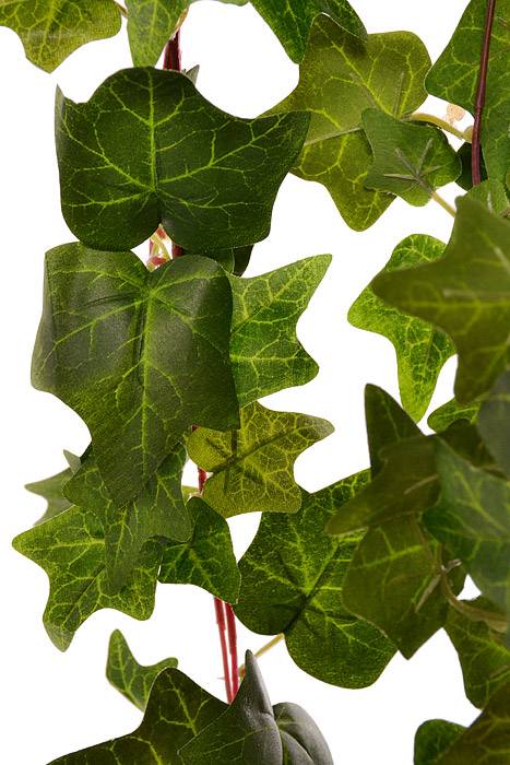 47.25" Ivy Hanging Bush Green