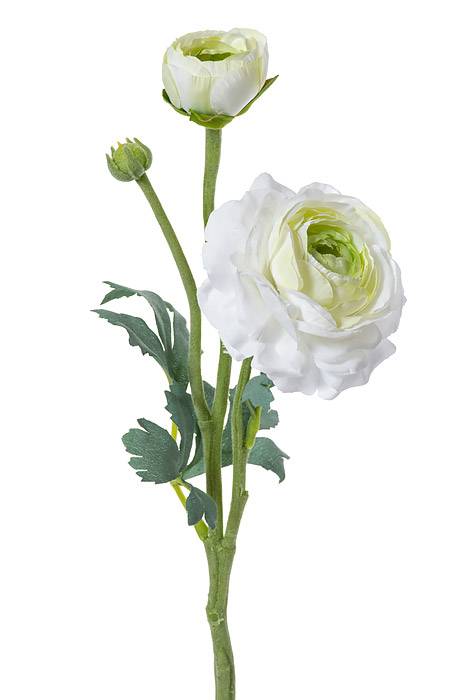 15" Silk Ranuculus Spray W/bud White/green