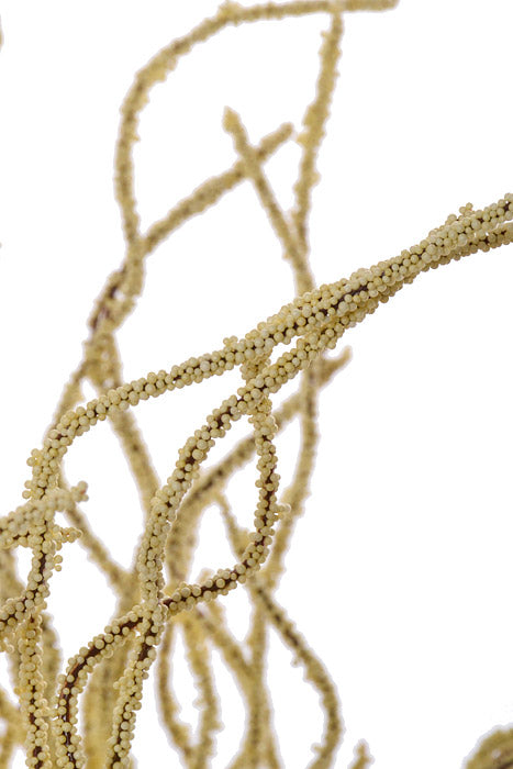 20" Artificial Wild Grass Bush Cream