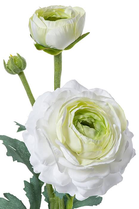 15" Silk Ranuculus Spray W/bud White/green