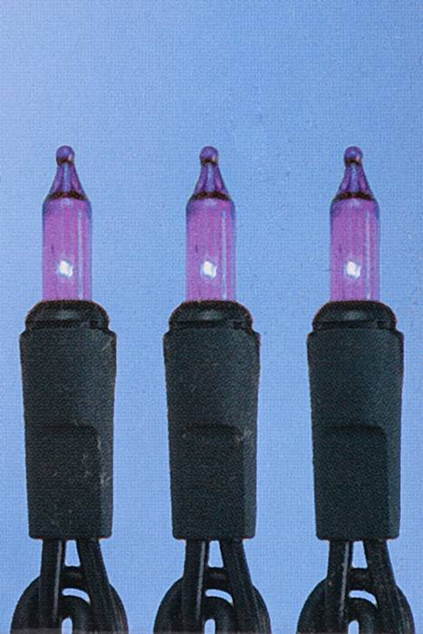 12ft Lights Set Purple W/black Wire