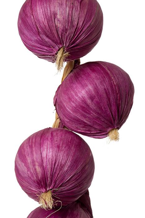 20" Onion String Purple