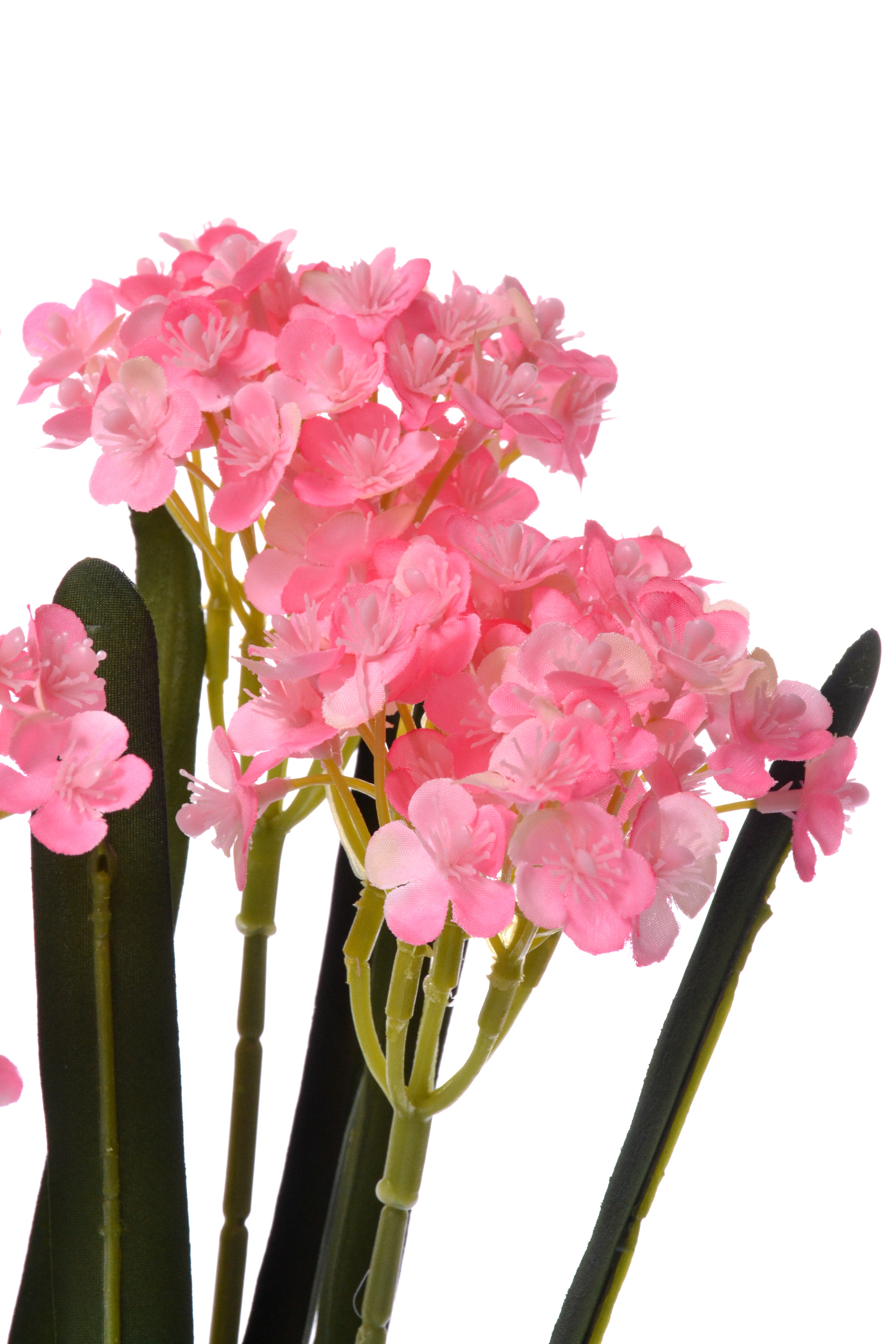 24" Silk Rose Myrtle Bush Pink