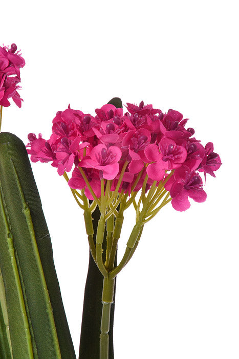 24" Silk Rose Myrtle Bush Fuchsia