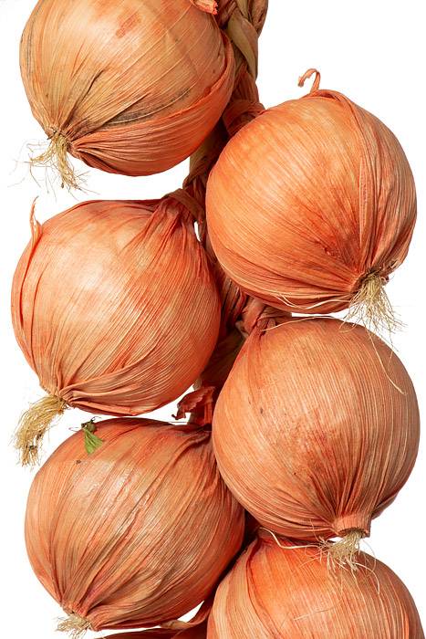 17.5" Garlic String Orange