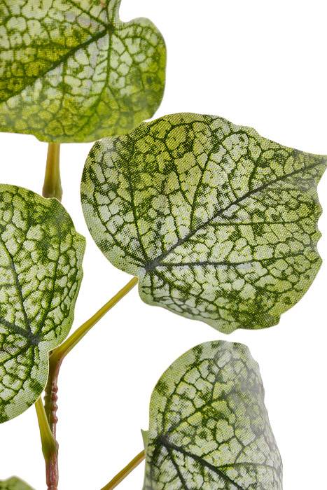 28" Cotton Wood Hanger Frosted Green