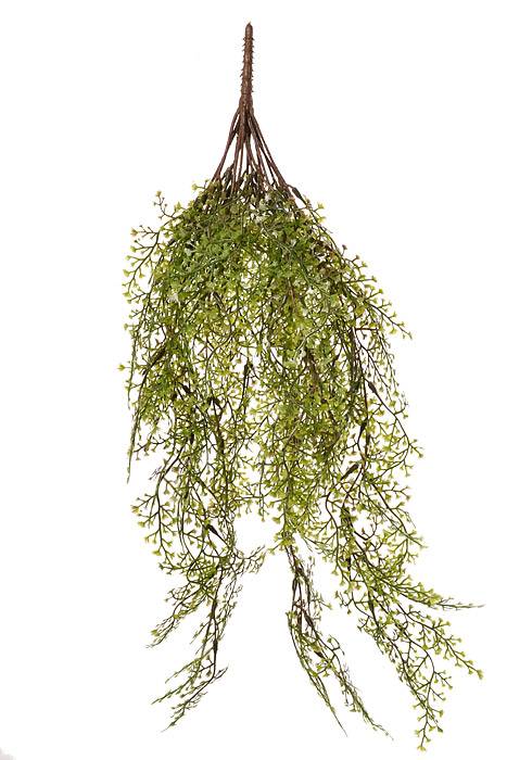 24" Maiden Hair Bush Green