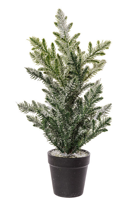 15.5" Snowy Hoop Pine Tree Pot