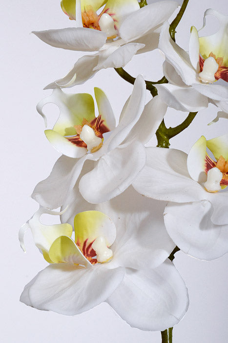 23.5" Real Touch Phalaenopsis Spray White