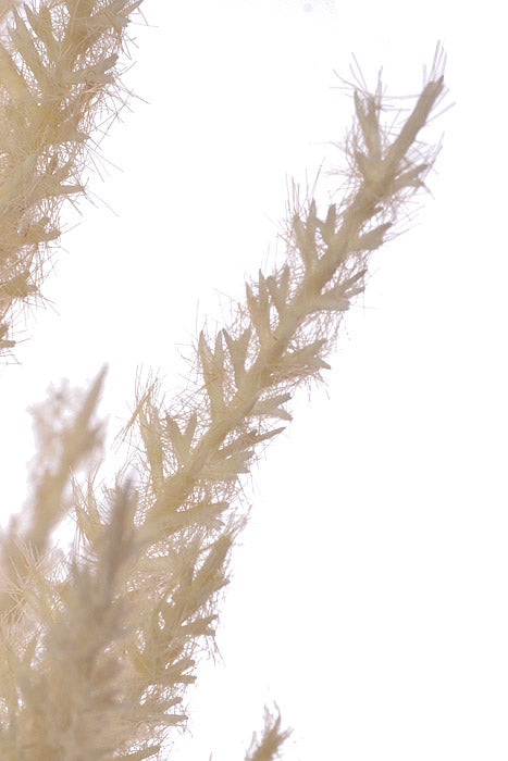 36" Artificial Reed Grass Spray Cream