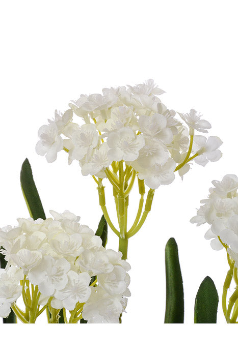 24" Silk Rose Myrtle Bush White