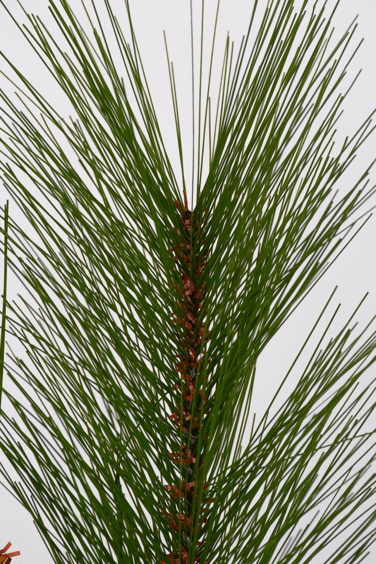 37" Pine and Pinecone Spray Green