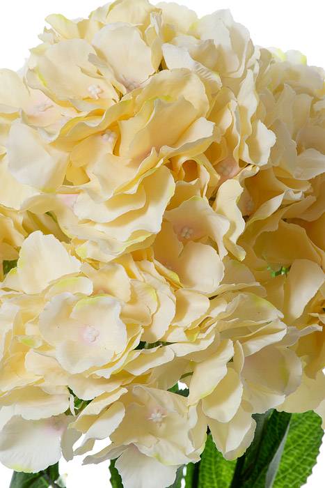 21.5" Silk Hydrangea Bush Champagne
