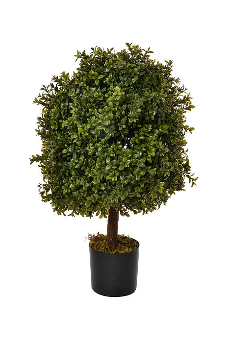 24" Boxwood Topiary Ball Green