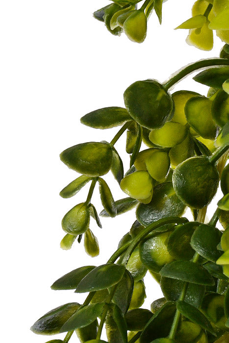 6Ft Eucalyptus Garland Green