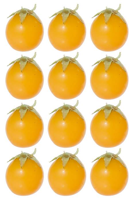 1.25" Cherry Tomato Yellow Bag