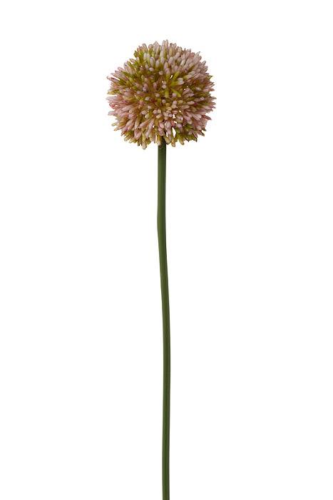 21.5" Allium Spray Mauve