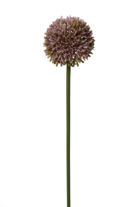 21.5" Allium Spray Lavender