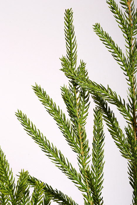 36" Artificial Soft Touch Mini Fir Spray Green