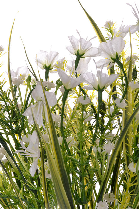 19" Plastic Gypso Star (Cream)