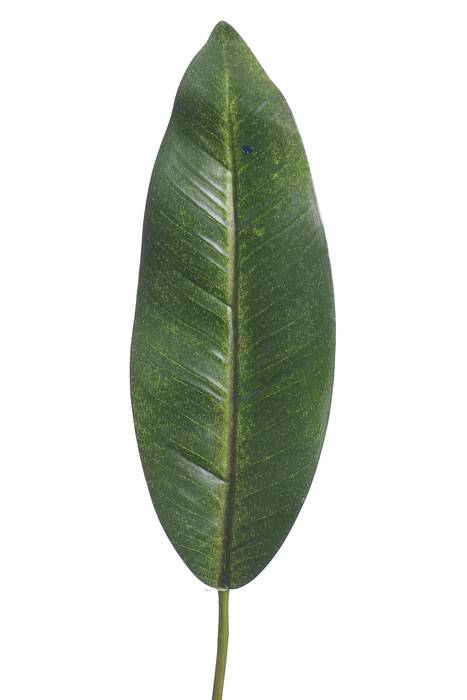 37" Bird Of Paradise Leaf Spray Green