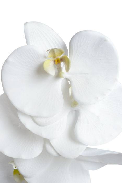44.5" Phalaenopsis Spray White