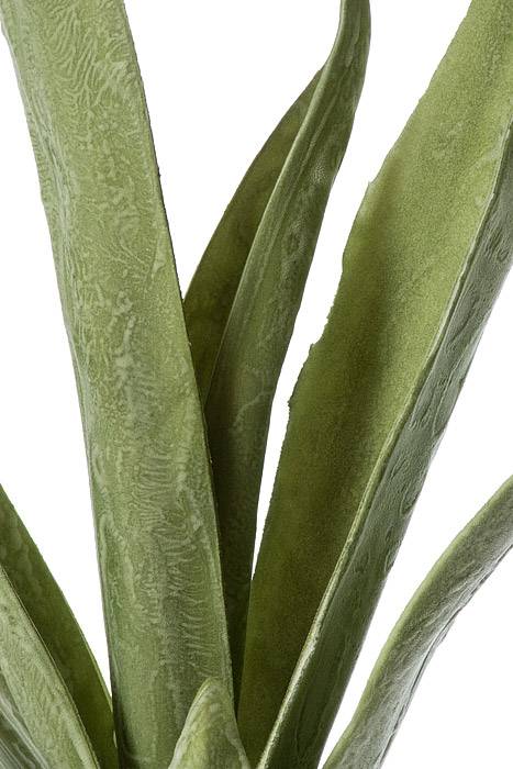 43" Leaves Eva Green