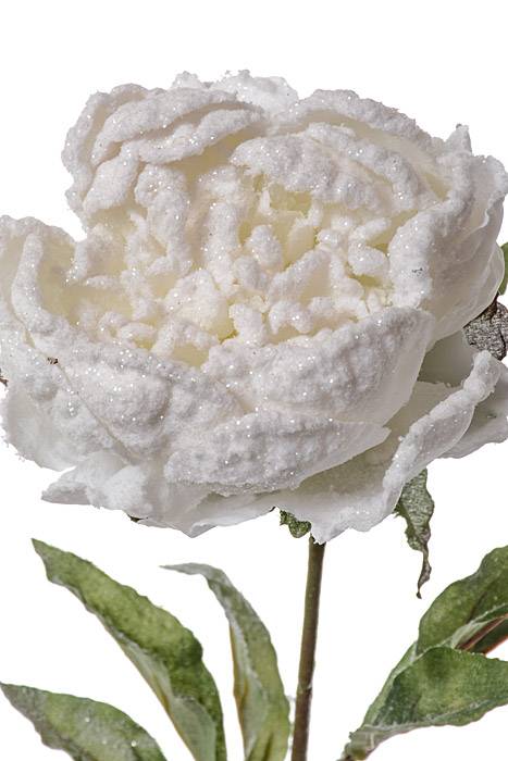 27" Peony Stem W/snow White