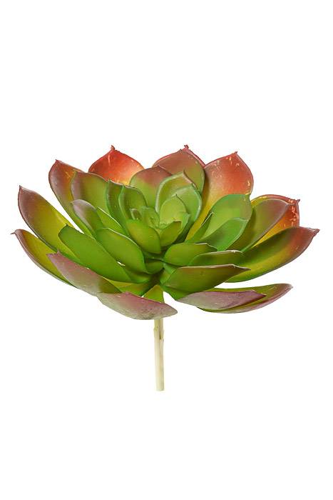 8.3" Soft Touch Echeveria Pick Green/Burgundy