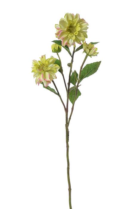 30" Chrysanthemum Spray Green