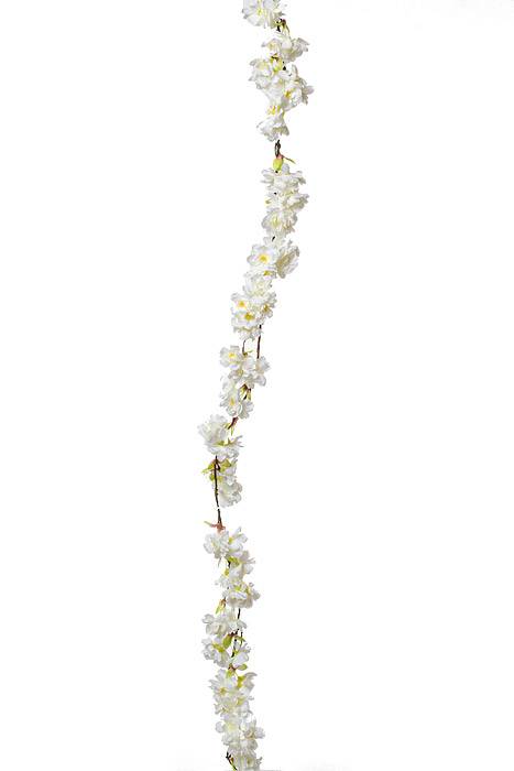 6ft Cherry Blossom Garland Cream