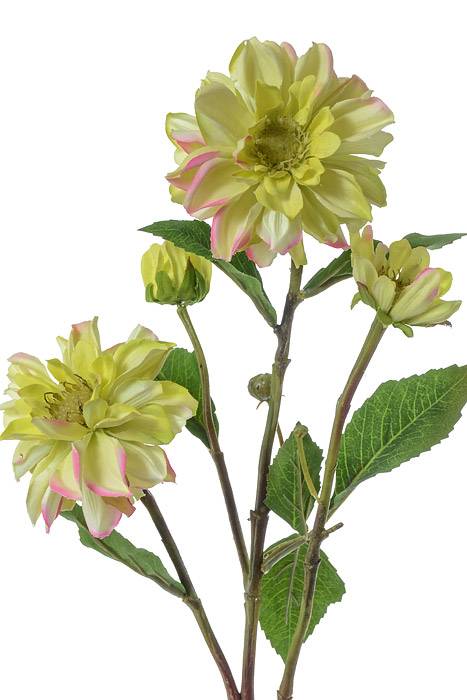 30" Chrysanthemum Spray Green