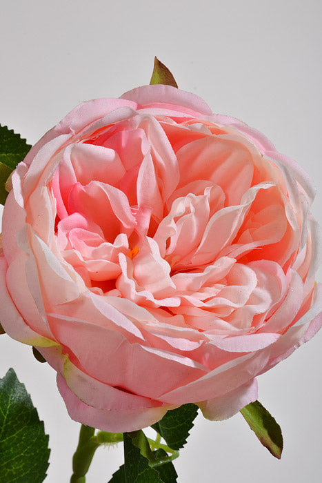 25.5" Silk Rose Spray Pink