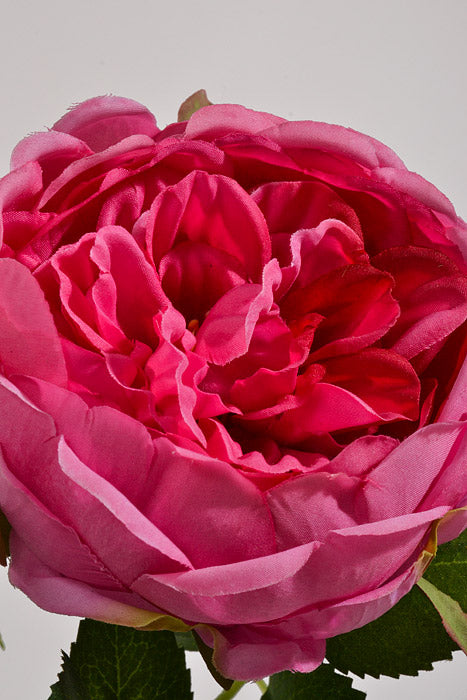 25.5" Silk Rose Spray Fuchsia