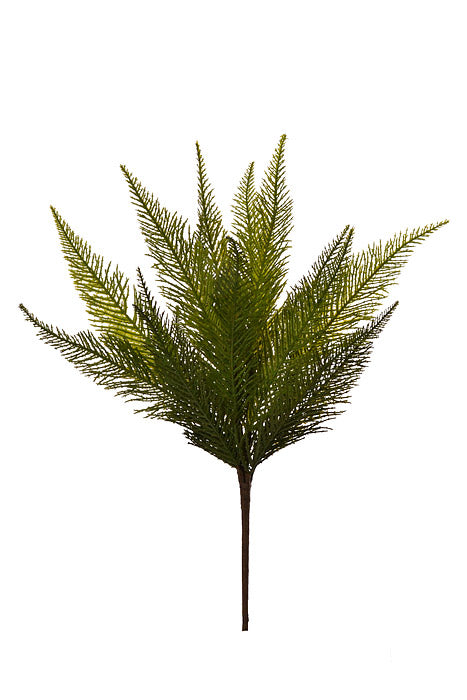 17" Asparagus Fern Bundle Green